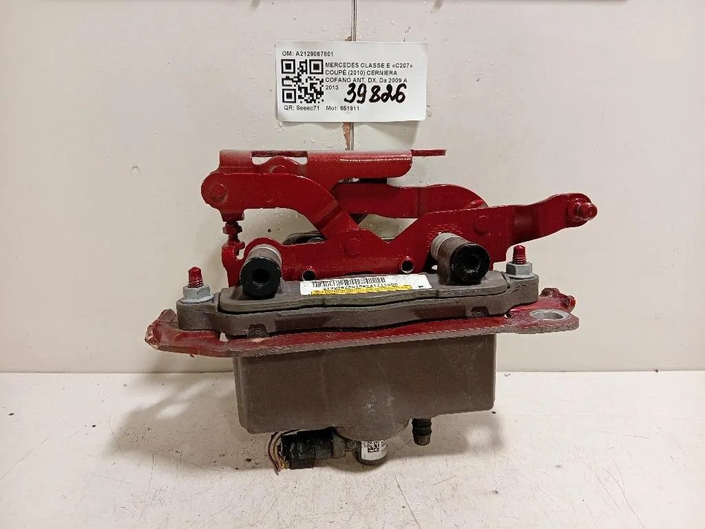 Cerniera Cofano ANT DX A2129067801 Mercedes Classe E C207 Coupé 2010