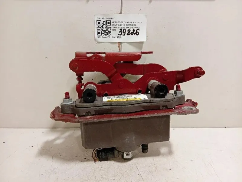 Cerniera Cofano ANT DX A2129067801 Mercedes Classe E C207 Coupé 2010