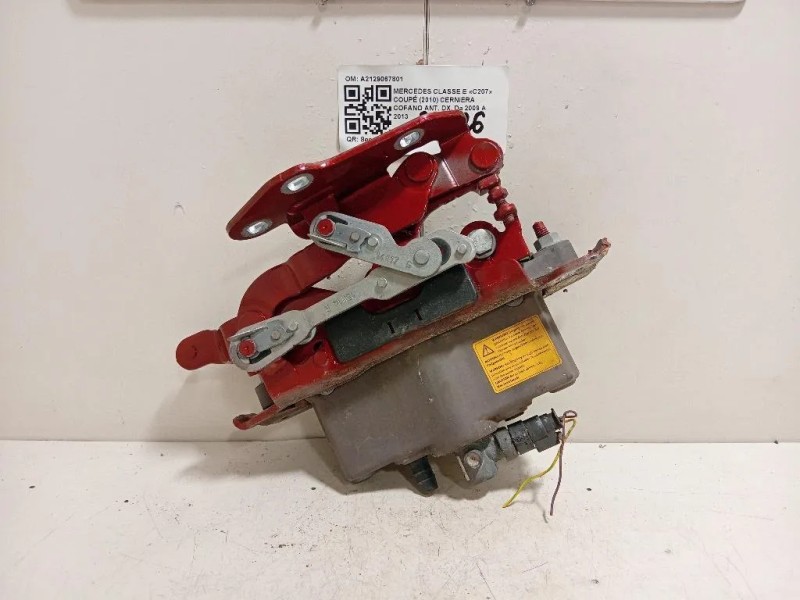 Cerniera Cofano ANT DX A2129067801 Mercedes Classe E C207 Coupé 2010