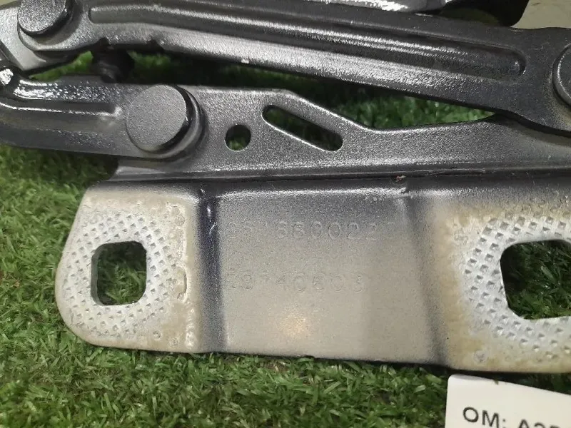 Cerniera Cofano ANT DX A2518800228 Mercedes Classe R W251 2006