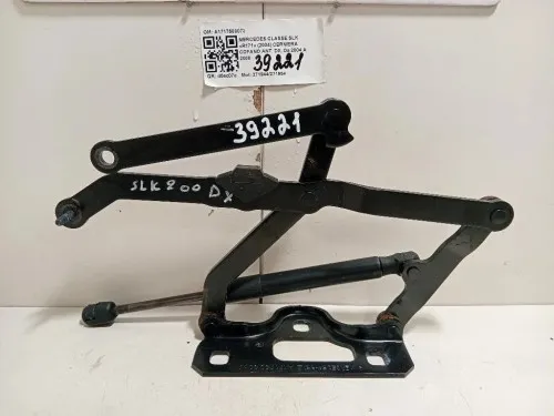 Cerniera Cofano ANT DX A1717500072 Mercedes Classe SLK R171 2004