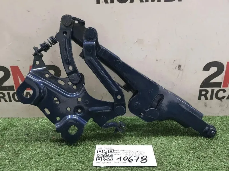 Cerniera Cofano ANT DX 7300566 Mini MINI Cooper F55 2014