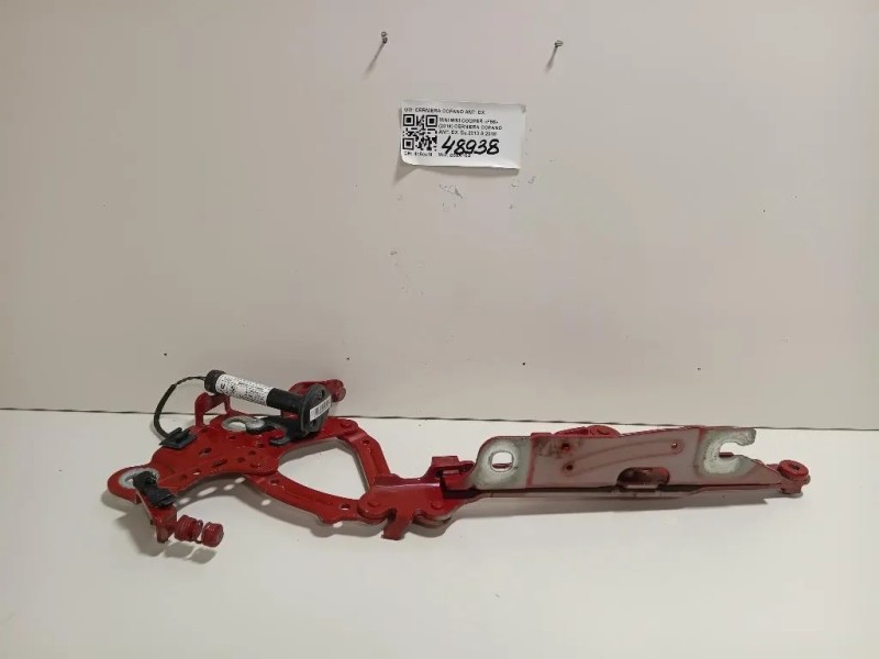 Cerniera Cofano ANT DX CERNIERA COFANO ANT DX Mini MINI Cooper F56 2014