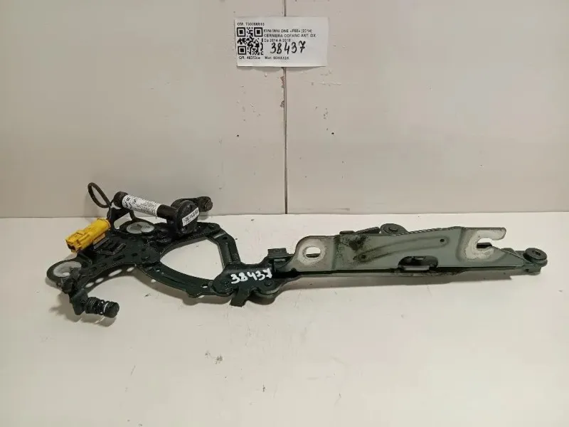 Cerniera Cofano ANT DX 730056515 Mini MINI ONE F55 2014