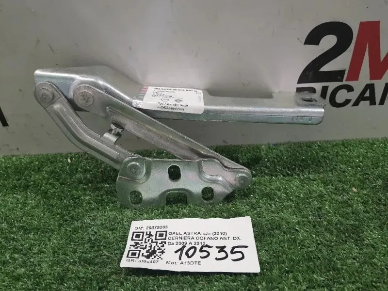 Cerniera Cofano ANT DX 20879203 Opel Astra J 2010