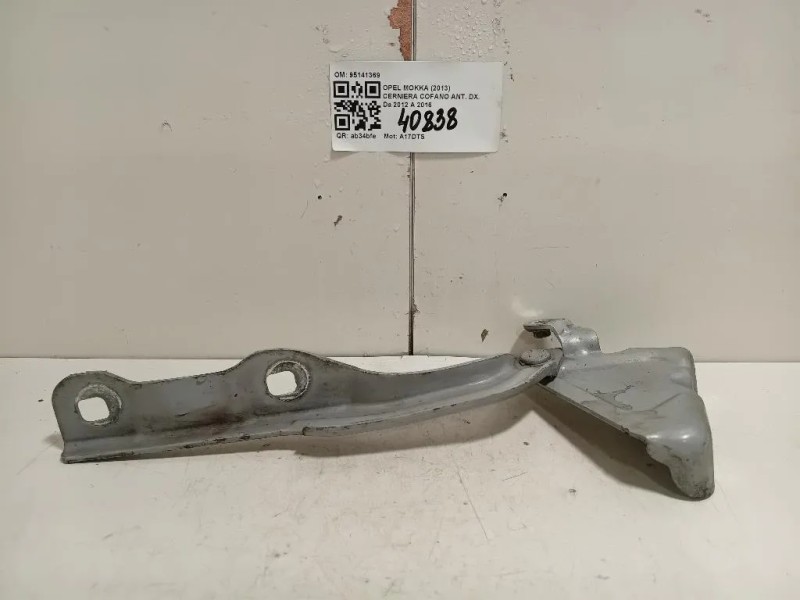 Cerniera Cofano ANT DX 95141369 Opel Mokka 2013