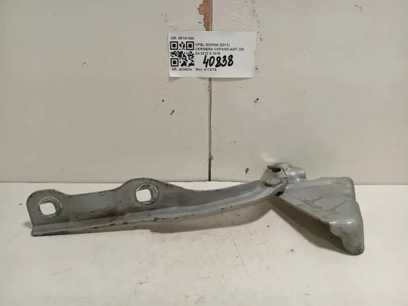 Cerniera Cofano ANT DX 95141369 Opel Mokka 2013