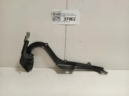 Cerniera Cofano ANT DX 9678398480 Peugeot 2008 I 2016