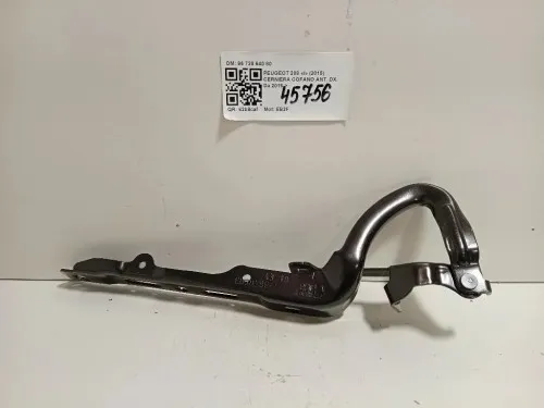 Cerniera Cofano ANT DX 96 728 640 80 Peugeot 208 I 2015