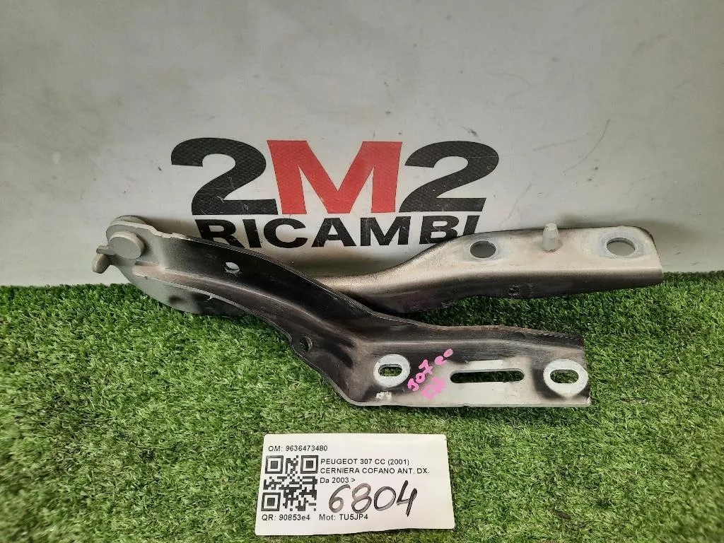 Cerniera Cofano ANT DX 9636473480 Peugeot 307 CC 2001