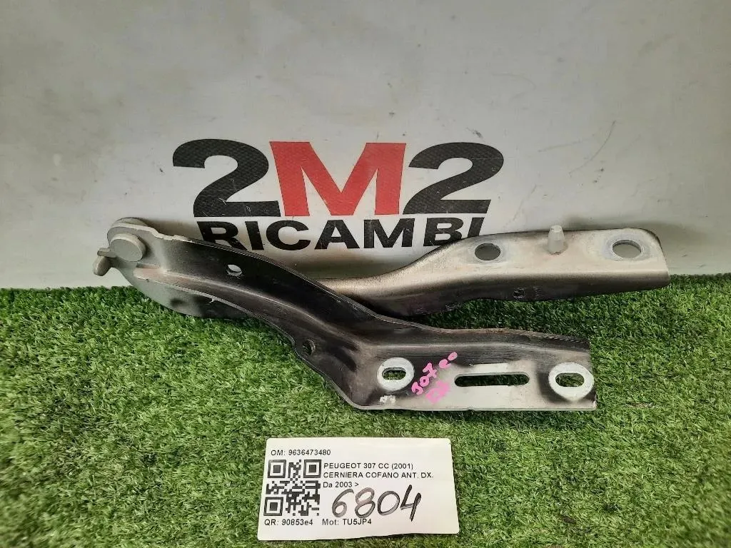 Cerniera Cofano ANT DX 9636473480 Peugeot 307 CC 2001