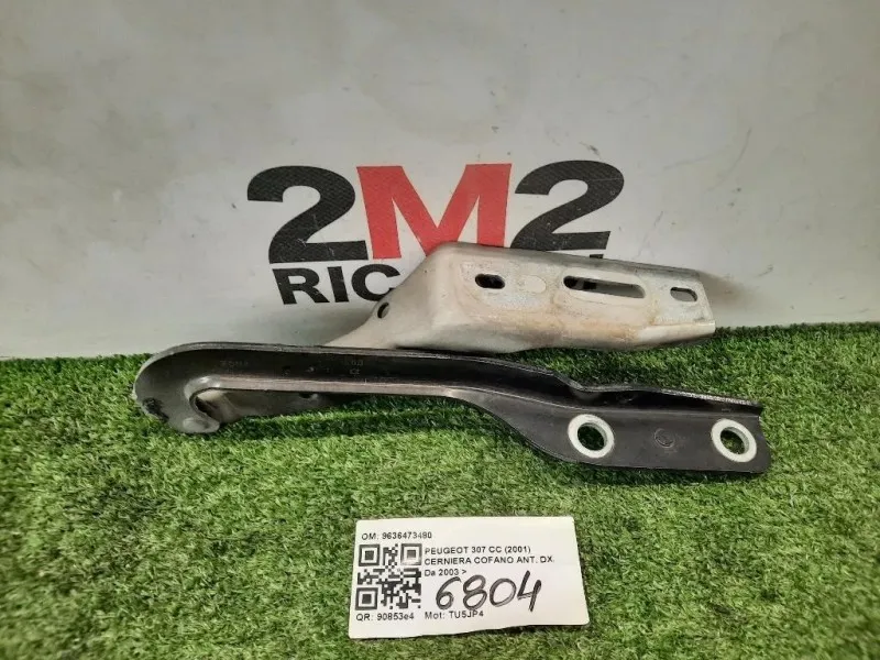 Cerniera Cofano ANT DX 9636473480 Peugeot 307 CC 2001