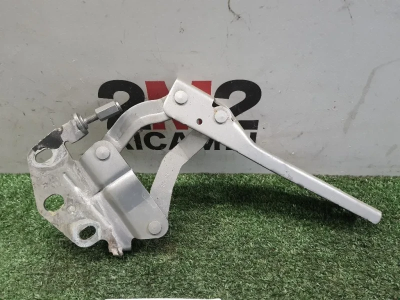 Cerniera Cofano ANT DX 3AA823302 Volkswagen Passat VI 2011