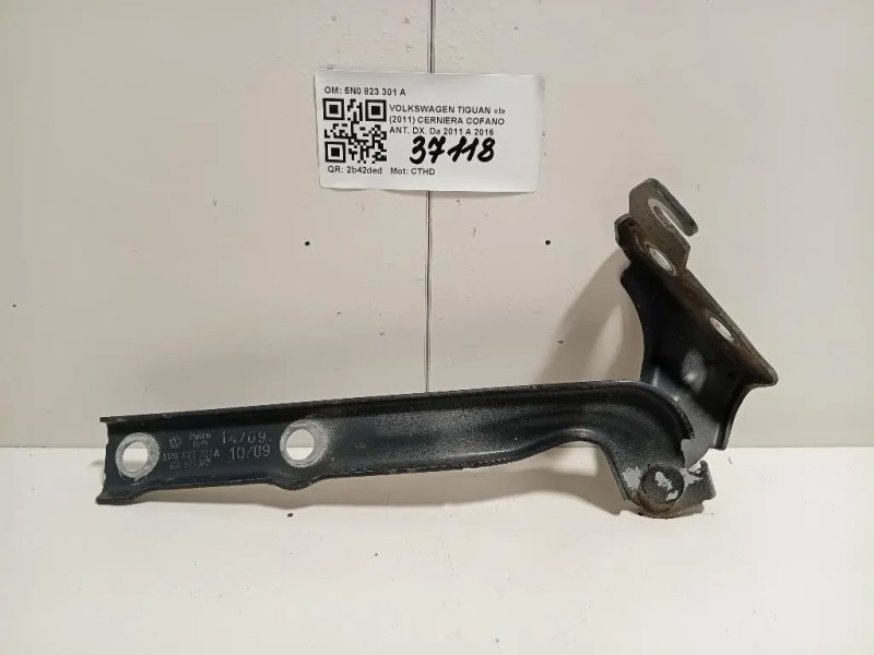 Cerniera Cofano ANT DX 5N0823301A Volkswagen Tiguan I 2011