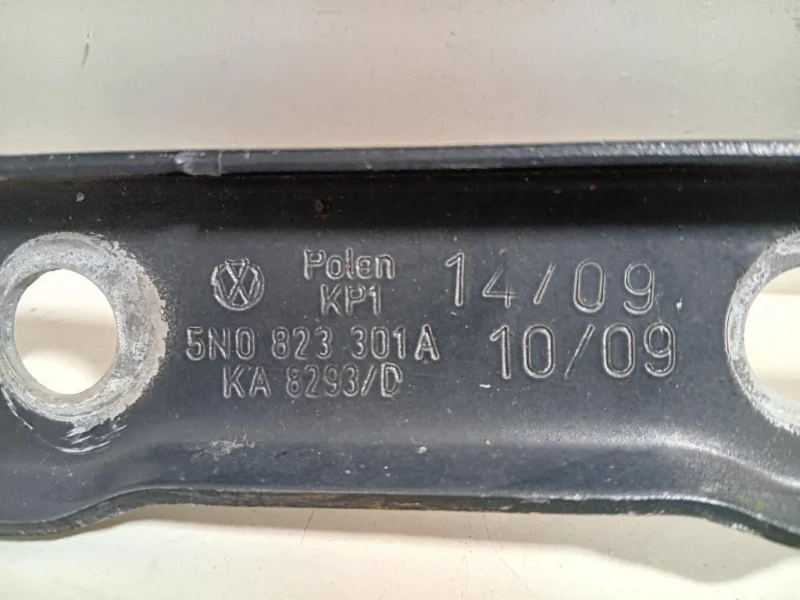 Cerniera Cofano ANT DX 5N0823301A Volkswagen Tiguan I 2011