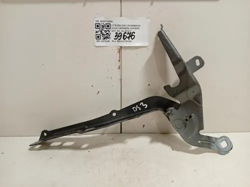 Cerniera Cofano ANT SX 9820730880 Citroen DS3 Crossback 2018