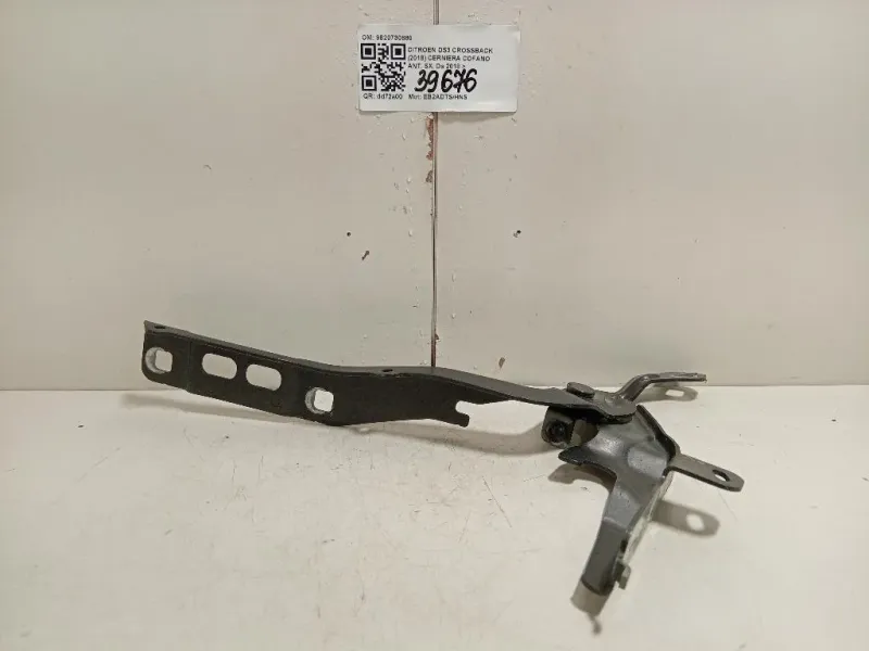 Cerniera Cofano ANT SX 9820730880 Citroen DS3 Crossback 2018