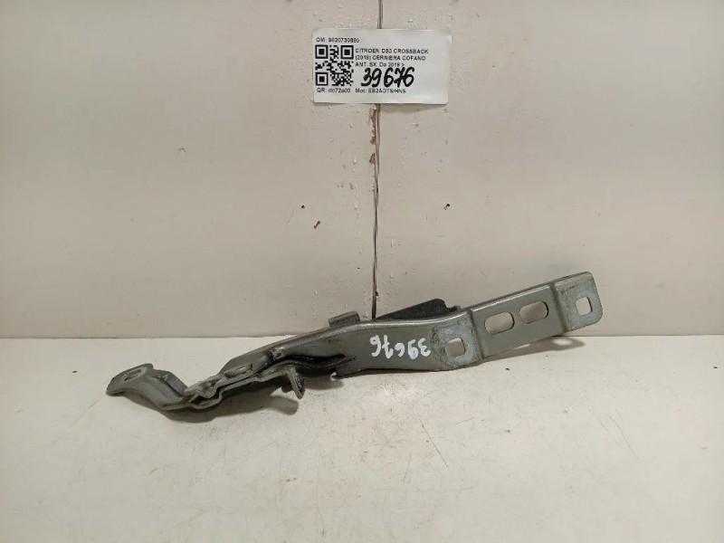 Cerniera Cofano ANT SX 9820730880 Citroen DS3 Crossback 2018