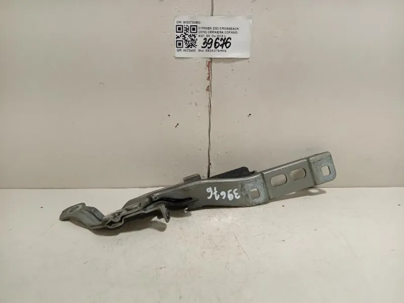 Cerniera Cofano ANT SX 9820730880 Citroen DS3 Crossback 2018