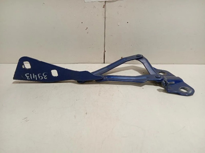 Cerniera Cofano ANT SX KK31-16801-AB Ford Transit Custom I 2013