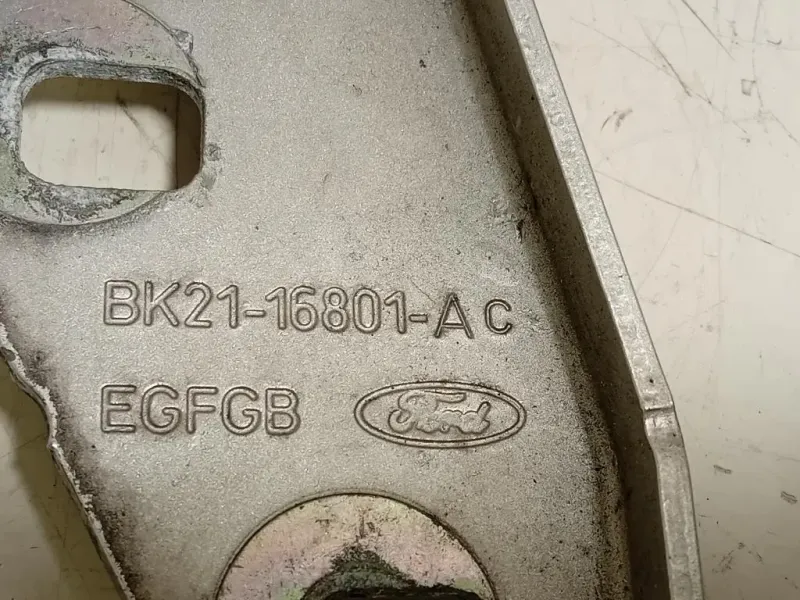 Cerniera Cofano ANT SX BK21-16801-AC Ford Transit Custom I 2013