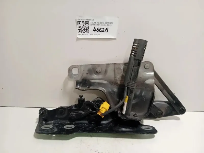 Cerniera Cofano ANT SX GX73-16801-AE Jaguar XE 2015
