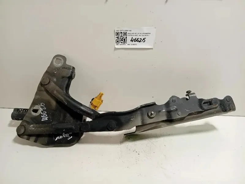 Cerniera Cofano ANT SX GX73-16801-AE Jaguar XE 2015
