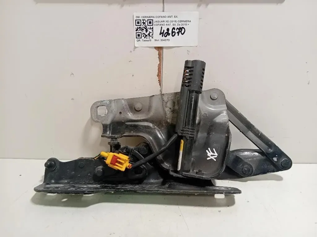Cerniera Cofano ANT SX GX73-16801-AE Jaguar XE 2015