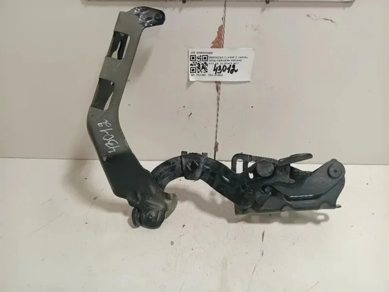 Cerniera Cofano ANT SX A2058800828 Mercedes Classe C W205 2014