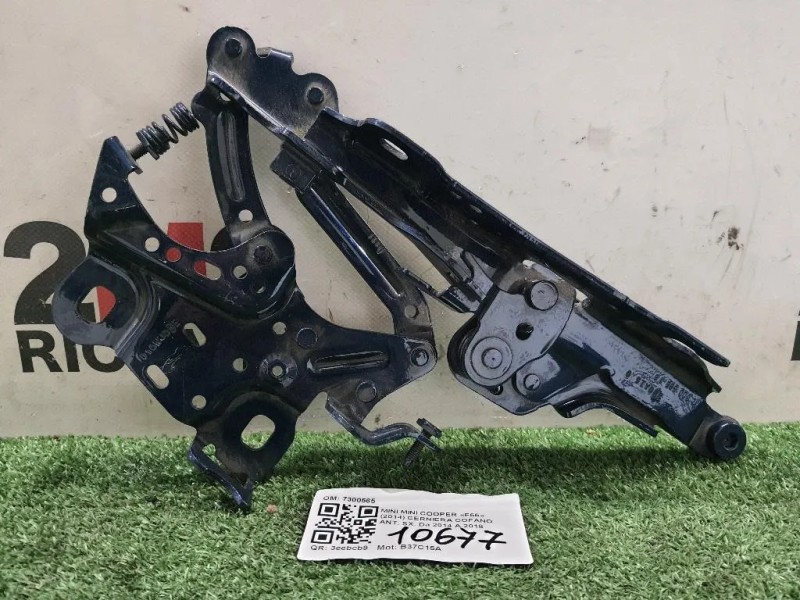 Cerniera Cofano ANT SX 7300565 Mini MINI Cooper F55 2014