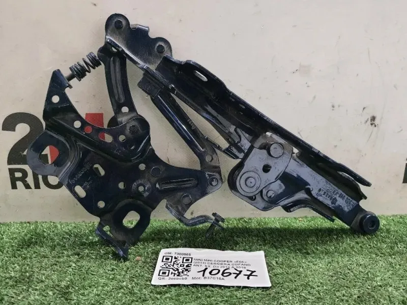 Cerniera Cofano ANT SX 7300565 Mini MINI Cooper F55 2014