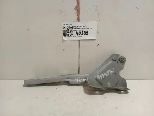 Cerniera Cofano ANT SX 95141368 Opel Mokka 2013
