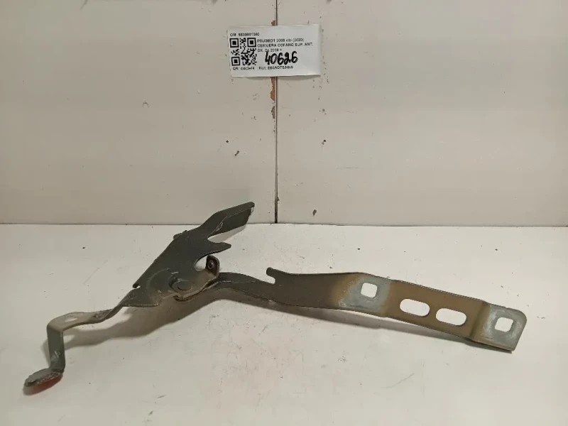 Cerniera Cofano SUP ANT DX 9839901380 Peugeot 2008 II 2020