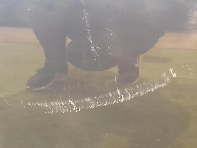 Porta ANT DX PORTA PORTIERA SPORTELLO AUDI TT Audi TT 8J3 2007