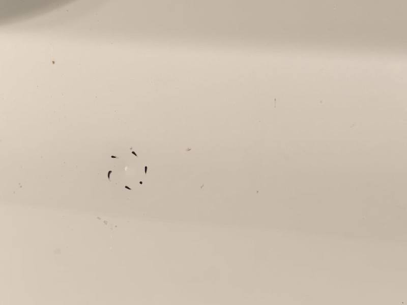 Porta ANT DX 41009628760 Bmw Serie 1 F20 Berlina 2015