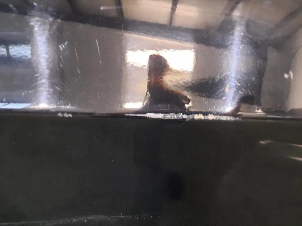 Porta ANT DX PORTA PORTIERA SPORTELLO E90 41007203644 Bmw Serie 3 E90 Berlina 2005