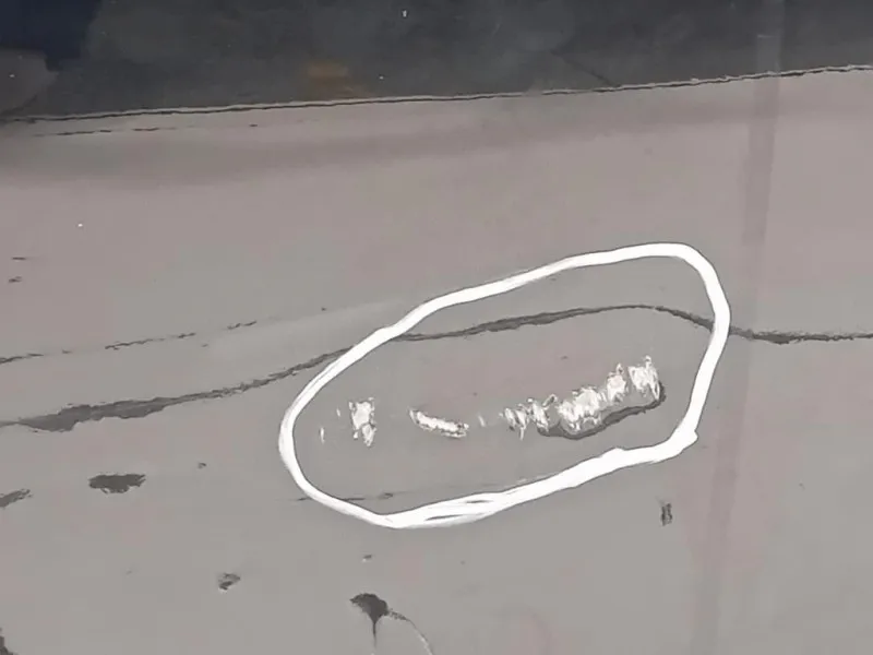 Porta ANT DX 41009628764 Bmw Serie 3 F30 Berlina 2012