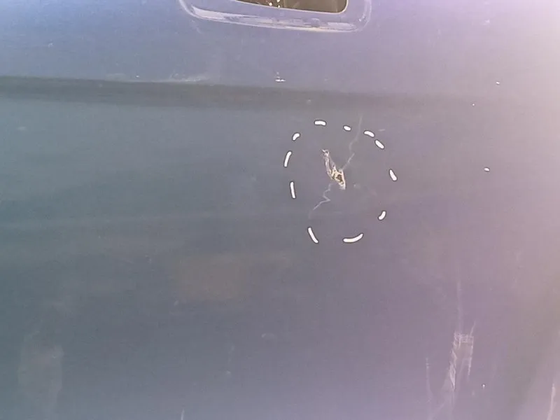 Porta ANT DX 9800008180 Citroen DS3 2016