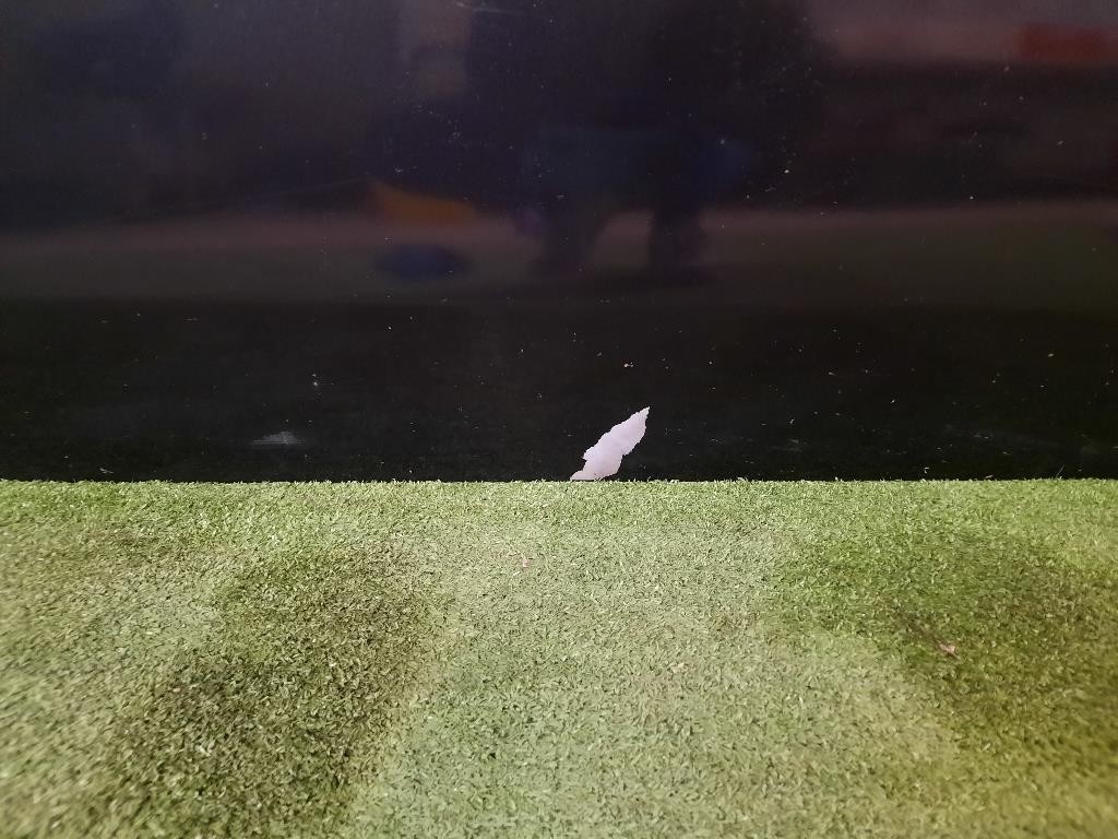 Porta ANT DX 52136362 Fiat 500 II 2008