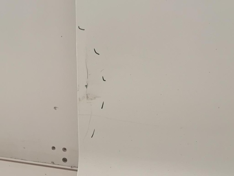 Porta ANT DX 1896131 Ford Ecosport 2013