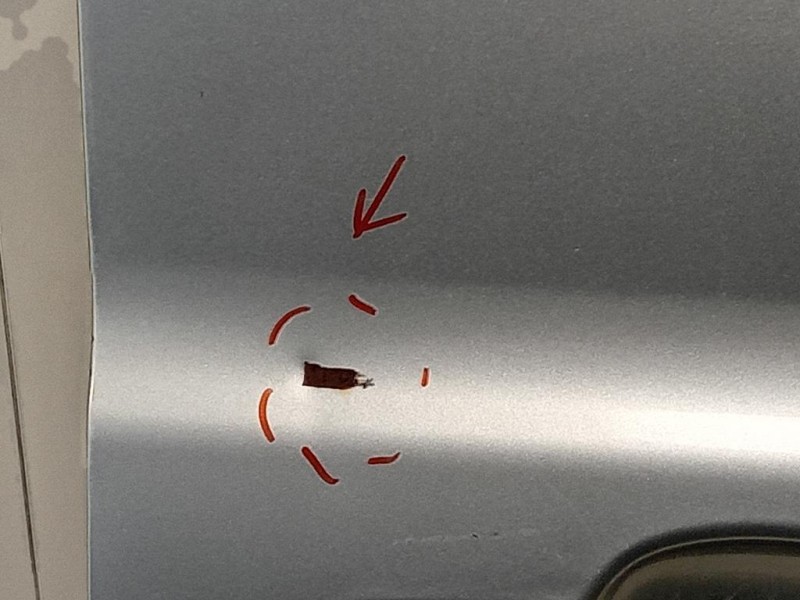 Porta ANT DX 2445429 Ford Transit Custom I 2013