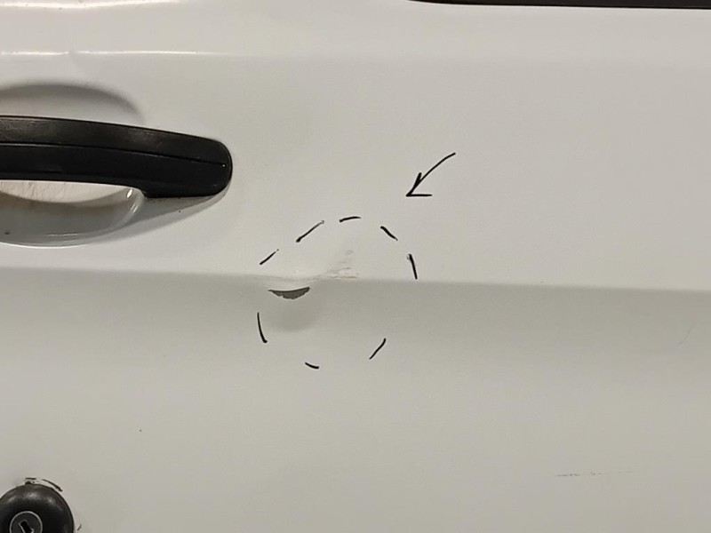 Porta ANT DX 2445429 Ford Transit Custom I 2013