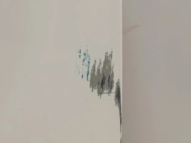 Porta ANT DX 41009628768 Mini MINI Cooper R56 2007