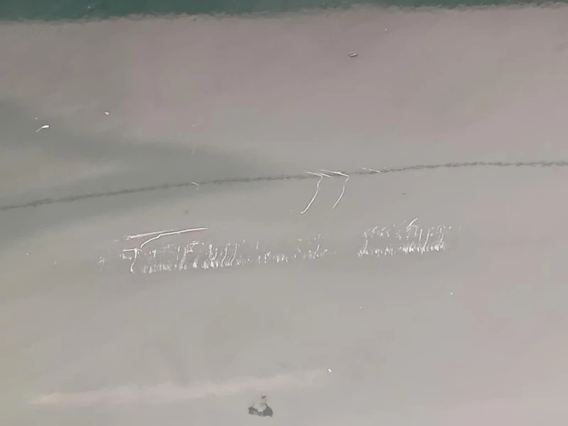 Porta ANT DX 41009628768 Mini MINI Cooper R56 2007