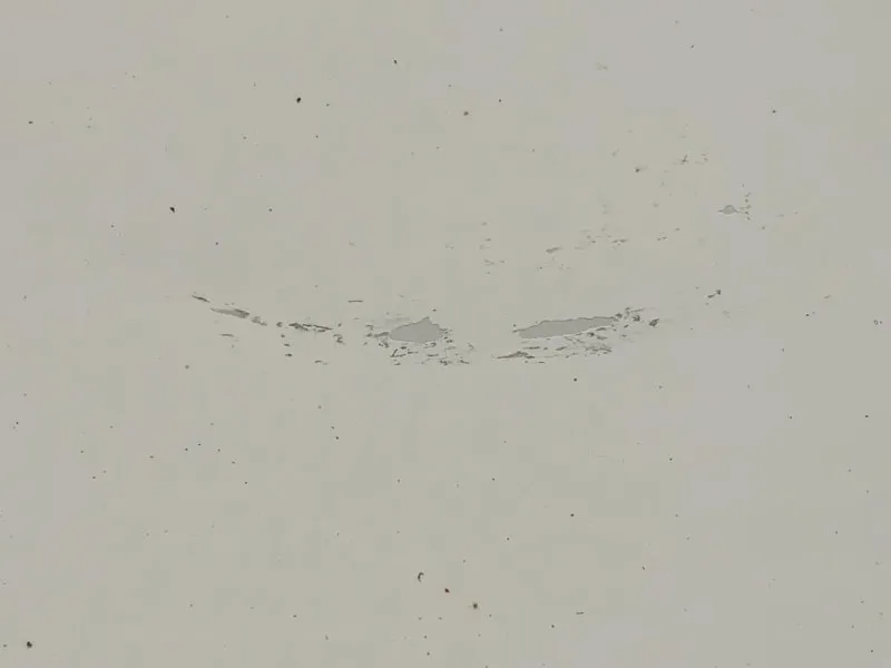 Porta ANT DX 95531021 Opel Vivaro B 2015