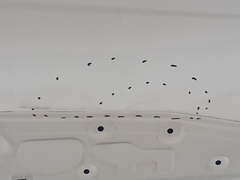 Porta ANT DX PORTA ANT DX Peugeot 2008 II 2023