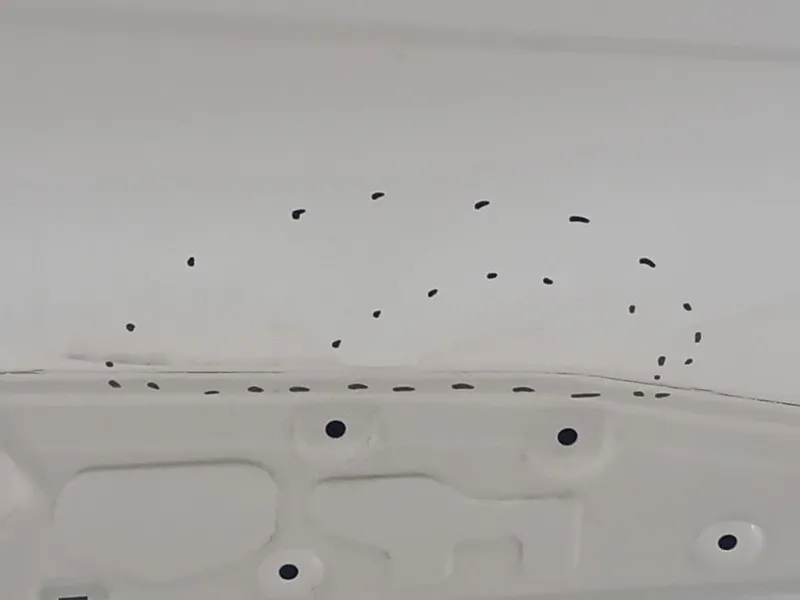 Porta ANT DX PORTA ANT DX Peugeot 2008 II 2023