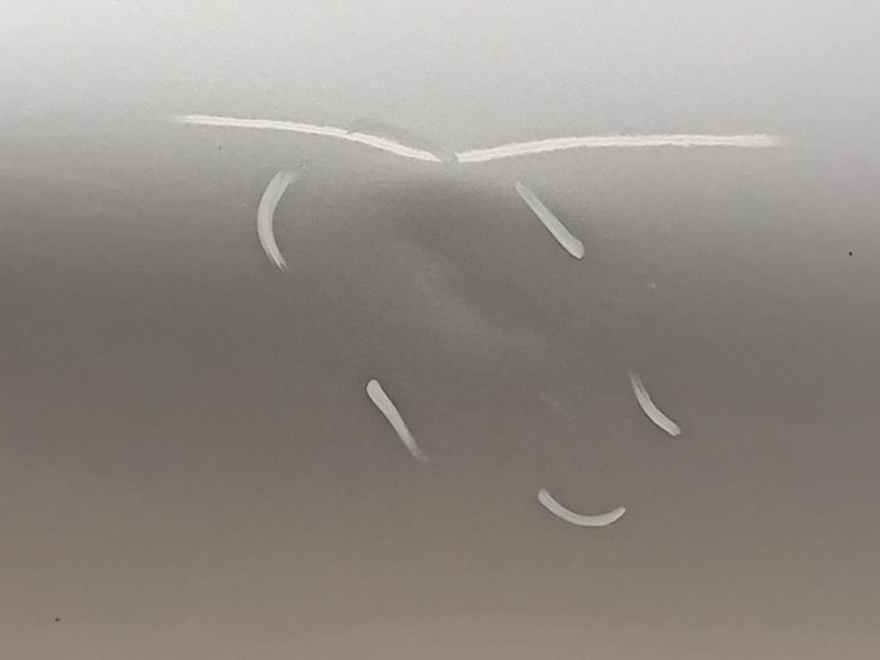 Porta ANT DX 801008095R Renault Captur I 2017