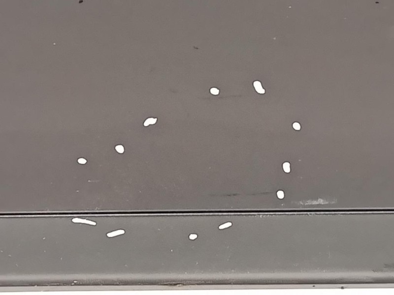 Porta ANT DX 3C4831056J Volkswagen Passat V 2005