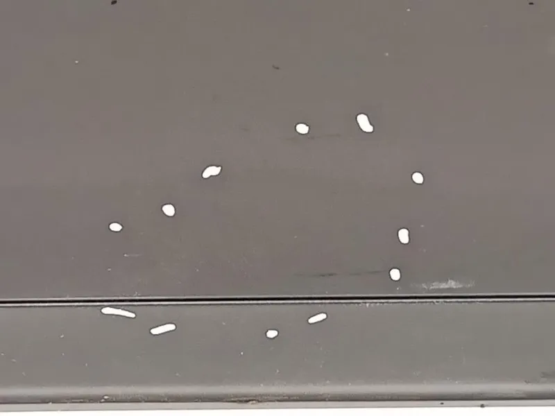 Porta ANT DX 3C4831056J Volkswagen Passat V 2005